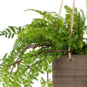 Hanging Potted Artificial Fern