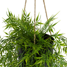 Load image into Gallery viewer, Hanging Potted Artifical Willow
