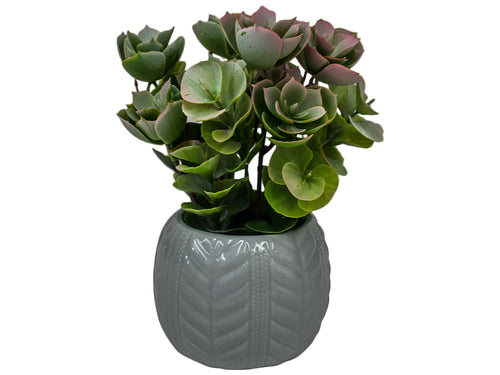 Ceramic Flat Leaf Succulent