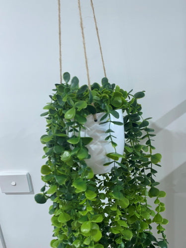 100cm Green Hanging in White Pot